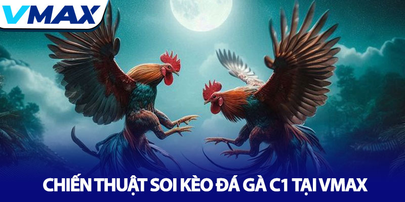 Đá Gà C1 - Nơi hội tụ những chiến kê xuất sắc nhất tại Vmax 4 Chiến Thuật Soi Kèo Đá Gà C1 Tại Vmax