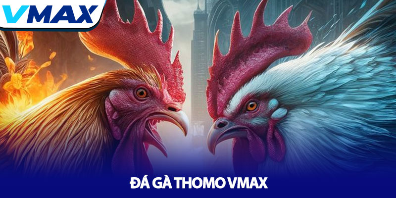 Đá gà Thomo Vmax - Đấu trường chiến kê số 1 Châu Á 2 Đá gà Thomo Vmax - Đấu trường chiến kê số 1 Châu Á