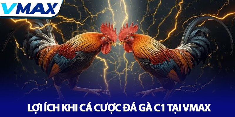 Đá Gà C1 - Nơi hội tụ những chiến kê xuất sắc nhất tại Vmax 3 Lợi Ích Khi Cá Cược Đá Gà C1 Tại Vmax