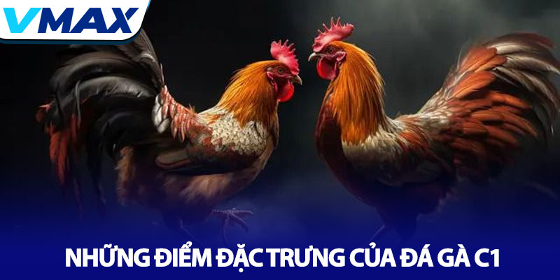 Đá Gà C1 - Nơi hội tụ những chiến kê xuất sắc nhất tại Vmax 2 Những Điểm Đặc Trưng Của Đá Gà C1