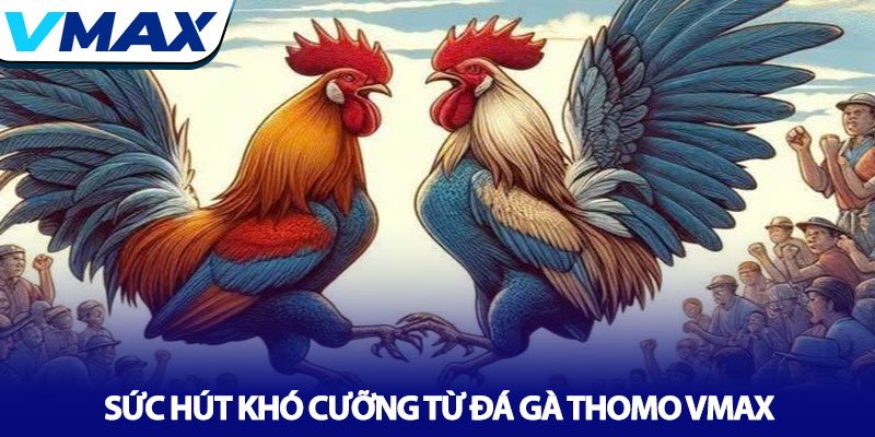 Đá gà Thomo Vmax - Đấu trường chiến kê số 1 Châu Á 2 Sức Hút Khó Cưỡng Từ Đá Gà Thomo Vmax